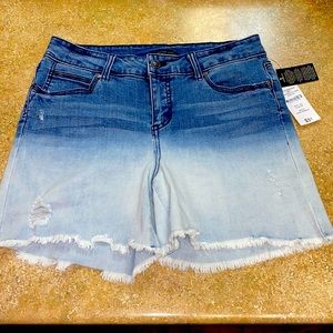Ombré Jean shorts! NWTs! 💙💙